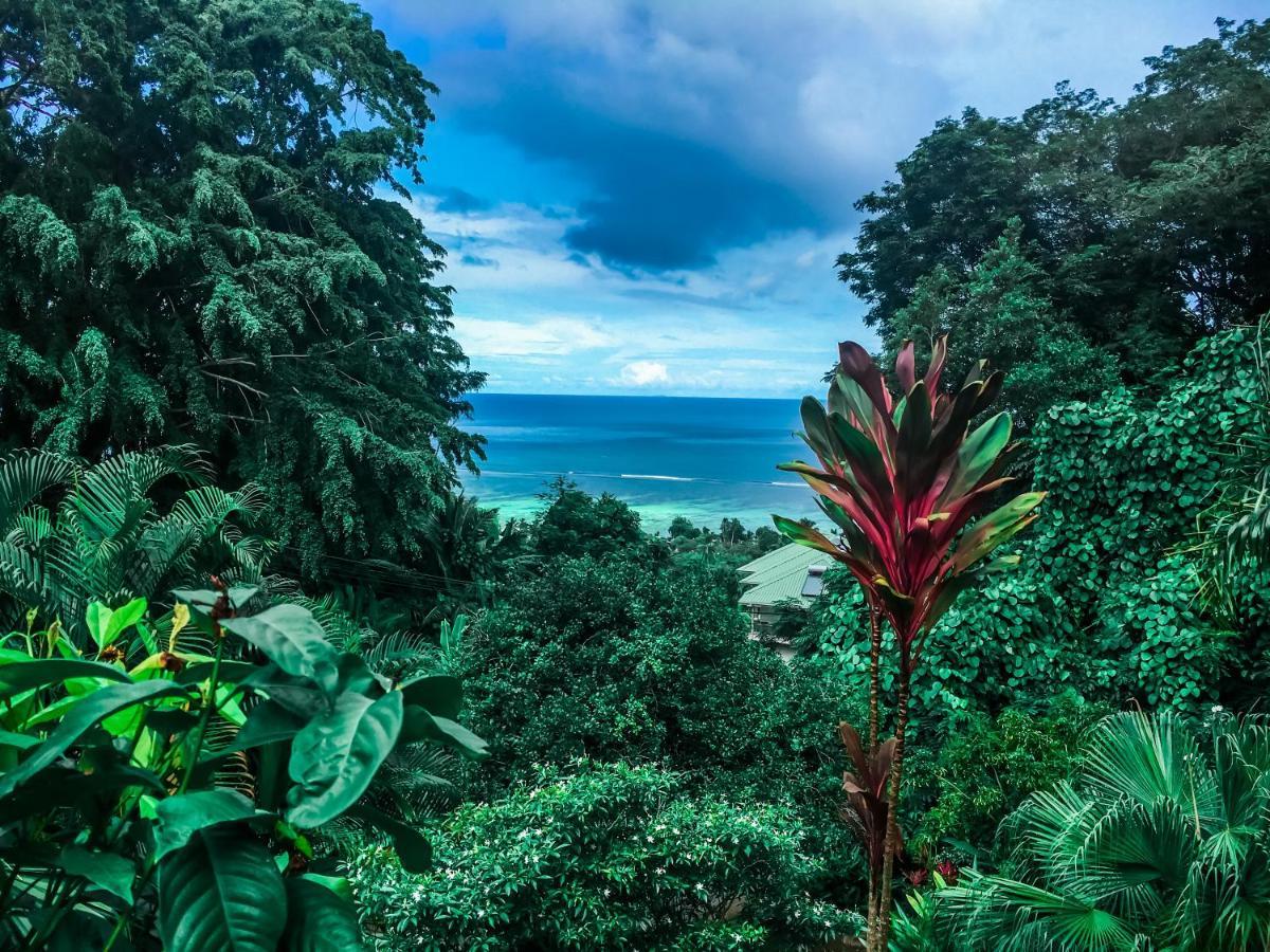 Ocean Vista Apartment Au Cap Ngoại thất bức ảnh